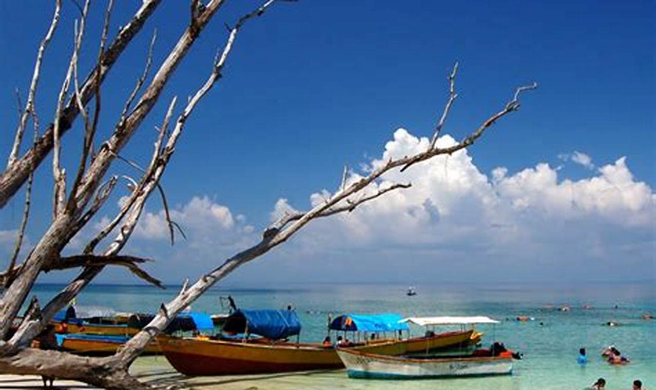 Trends For Andaman Tourism Quotes