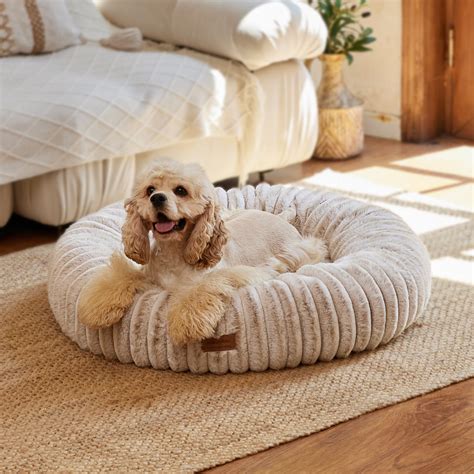 Trends For Bed For Dogs That Burrow