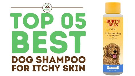Trends For Best Shampoo For Dogs With Itchy Skin