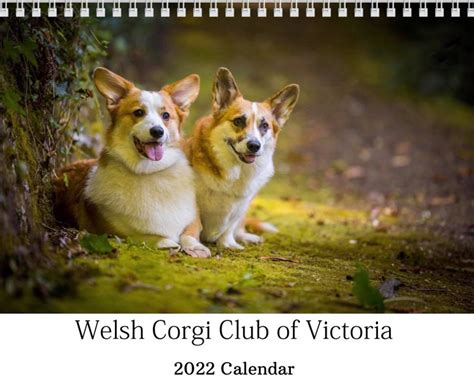 Trends For Corgi Club Victoria