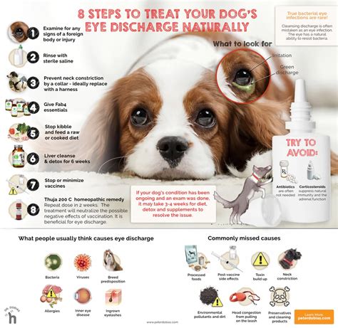 Trends For Discharge From Dogs Eyes