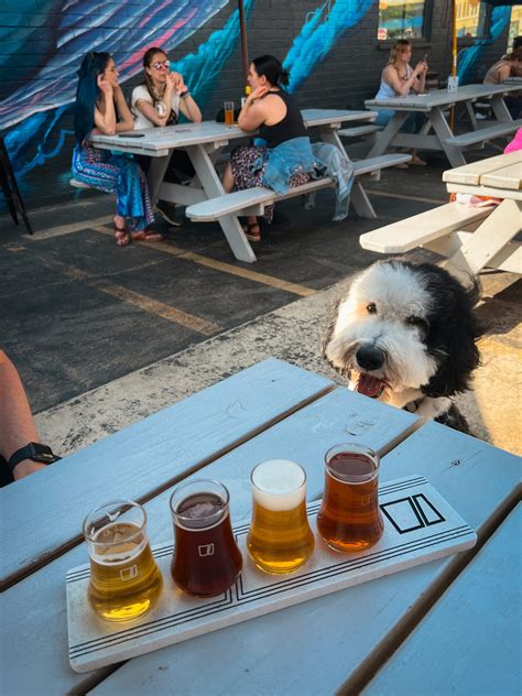 Trends For Dog Friendly Events Breweries