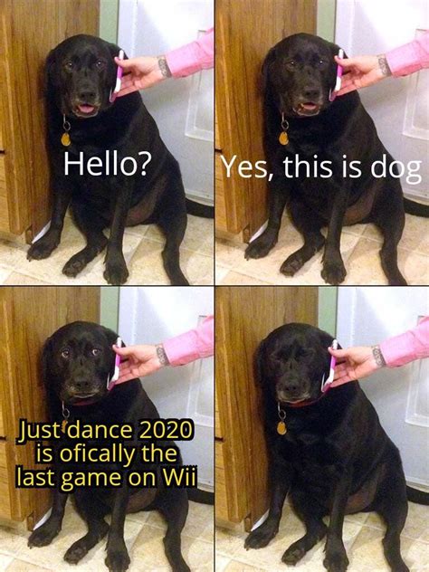 Trends For Dog On Phone Meme