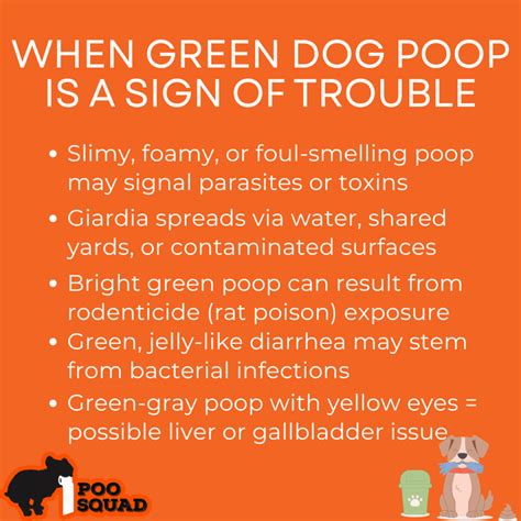 Trends For Dog Poop Green