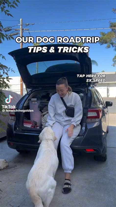 Trends For Dogs On Road Trips