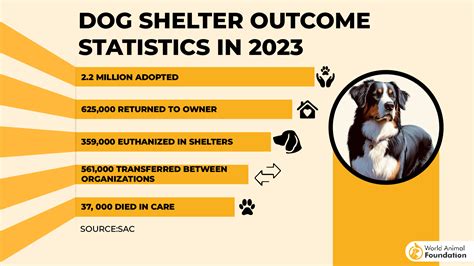 Trends For Euthanize