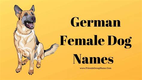 Trends For German Female Dog Names