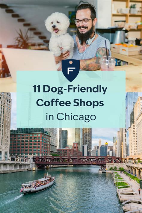 Trends For Guide To Dog Friendly Chicago Coffee Shops