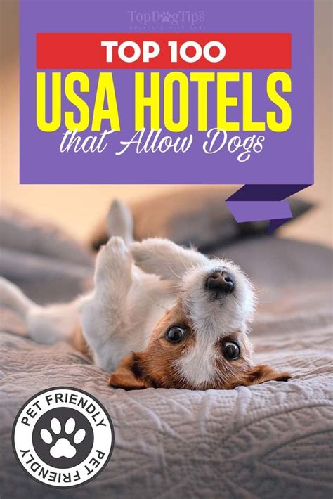 Trends For Hotel Allow Dog