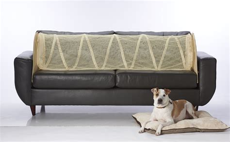 Trends For How To Keep Dog Off The Couch