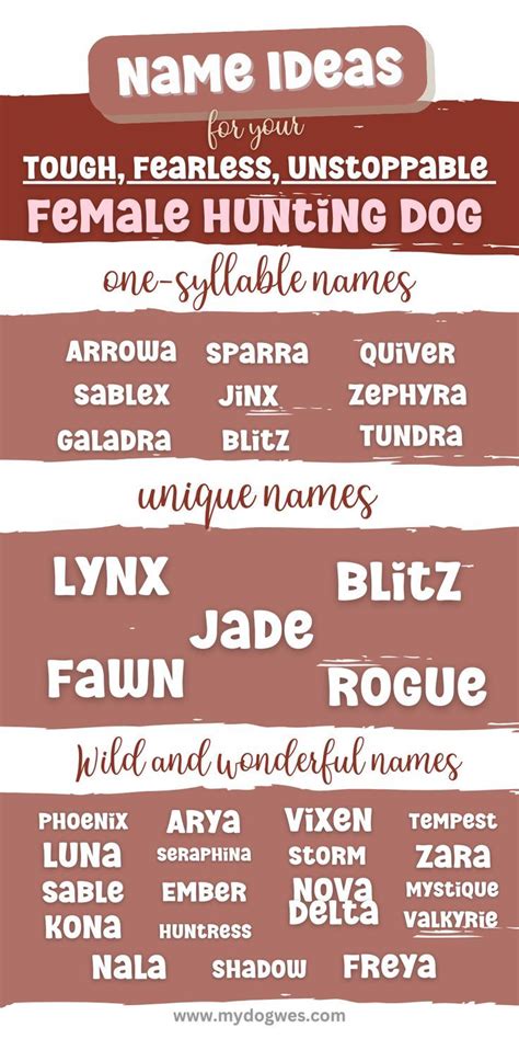 Trends For Hunting Dog Names Female