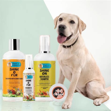 Trends For Labrador Grooming Kit