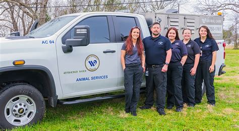 Trends For Local Shelter Kittehs Getting Jobs As Rodent Control Officers
