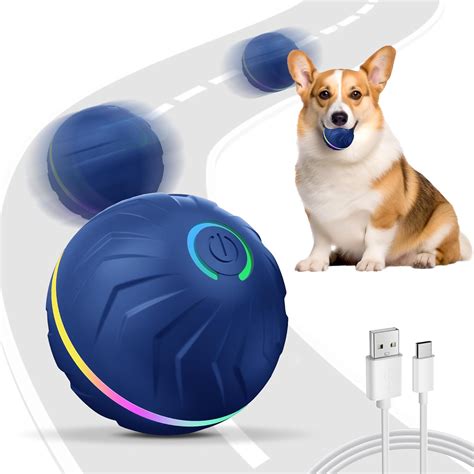 Trends For Moving With A Dog