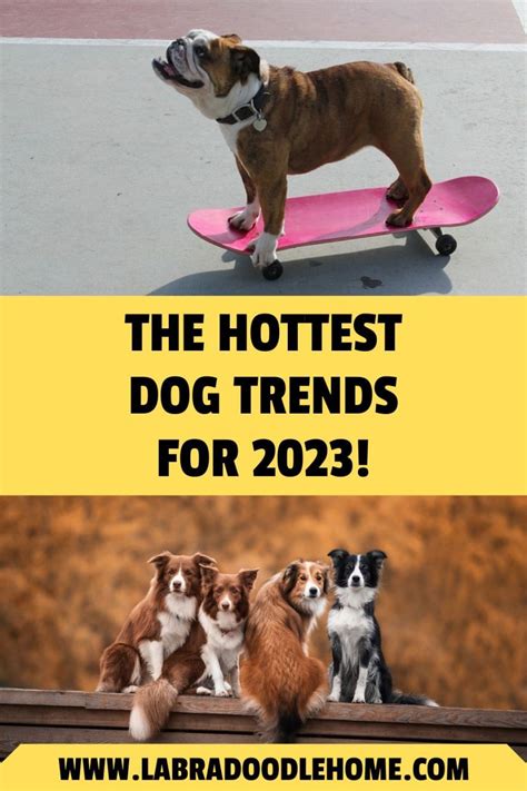 Trends For Pictures Dog