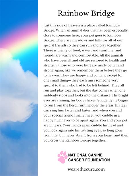 Trends For Rainbow Bridge Dog