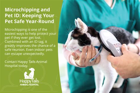 Trends For Smart Tips For Safe Pups Microchipping