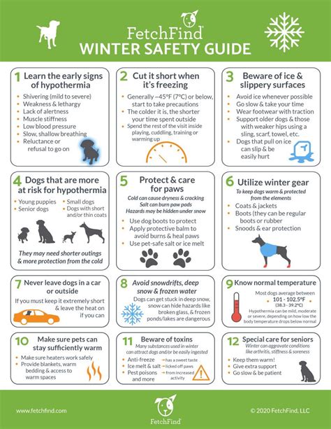 Trends For Winter Safety Tips Dogs