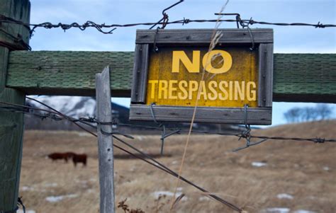 Trespassing and Provocation