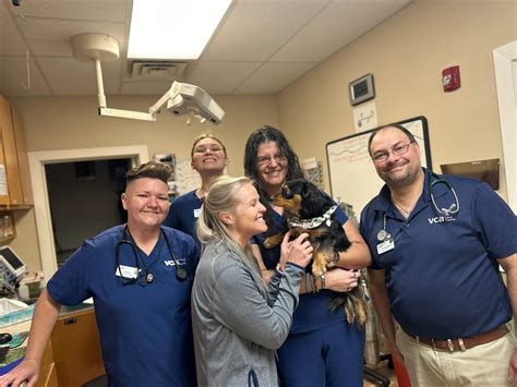Expert Animal Care Services in Ft. Pierce | Visit Tri County Animal Hospital Today!