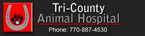 Expert Veterinary Care for Your Furry Friends at Tri County Animal Hospital GA