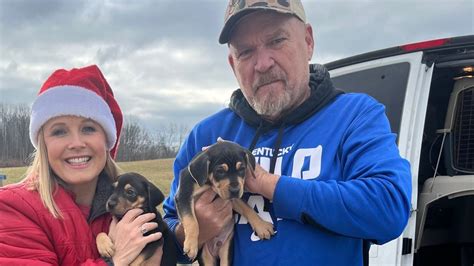 Discover the Best Animal Care at Tri State Animal Is - Your Trusted Pet Service Provider!