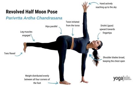 Triangle Pose Anatomy