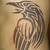 Tribal Raven Tattoos