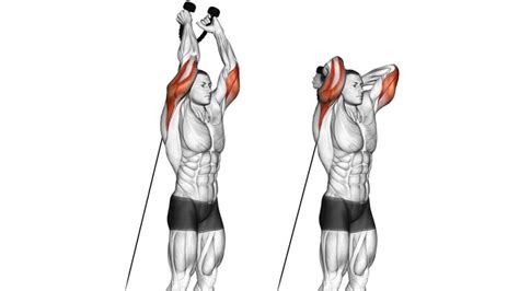 Tricep Extension