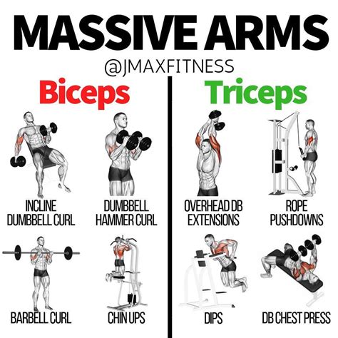 Triceps And Biceps Workout