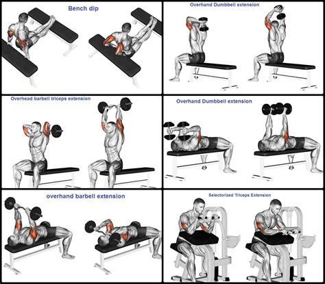 Triceps Exercises