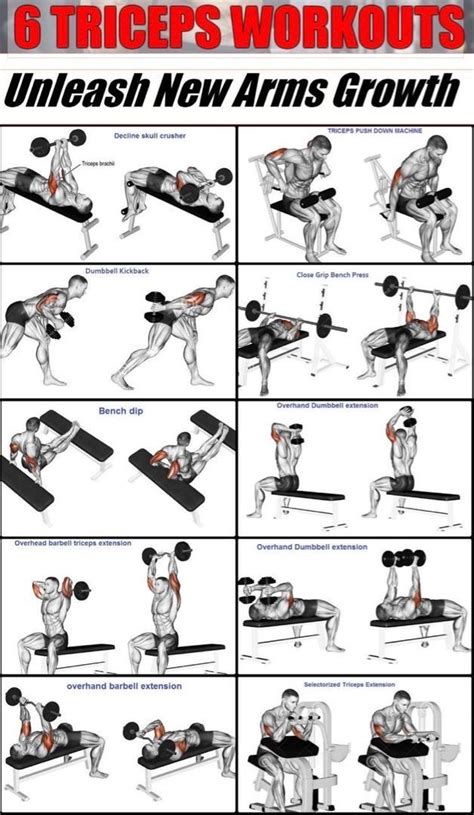 Triceps Workout Chart Step By Step