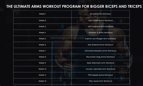 Triceps Workout Routine Pdf