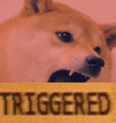 Triggered Dog Meme