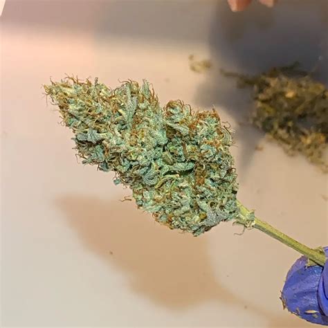 Trim Your Home To The Latest Design Trends In 2023