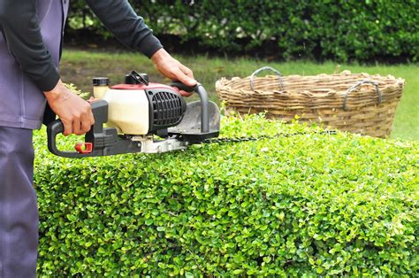 Trimming Tips