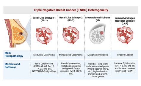 Triple Negative Breast Cancer Quotes