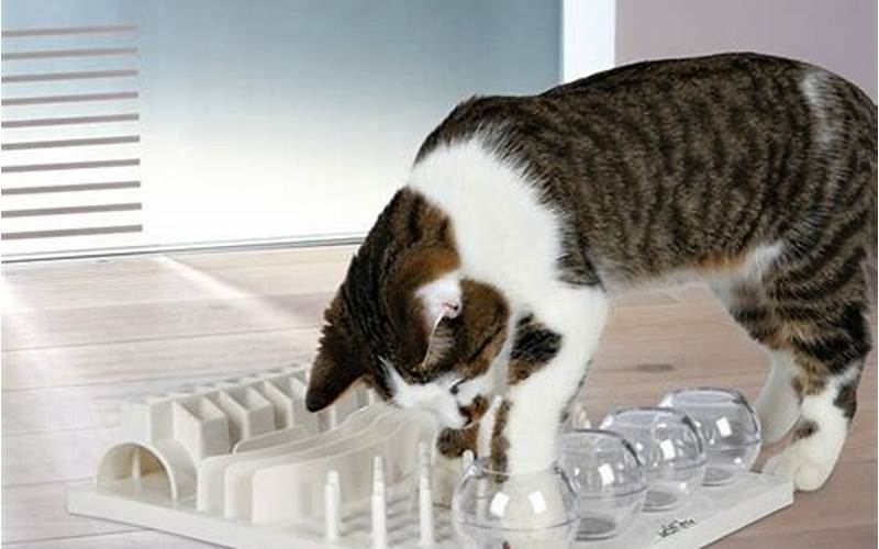 Trixie Pet Products 5-In-1 Activity Center