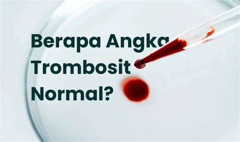 Trombosit Normal Wanita