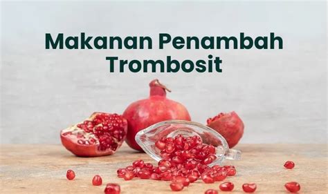 Trombosit Untuk Apa