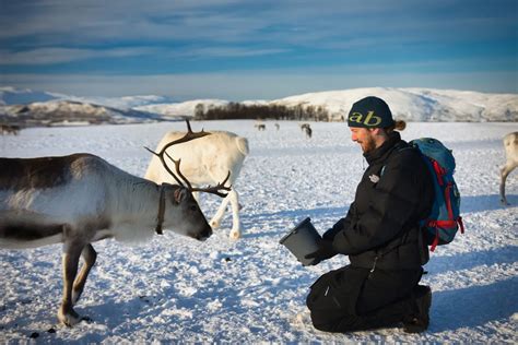 Tromso Reindeer Farm