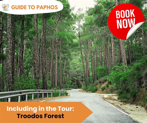 Troodos Safari Tips