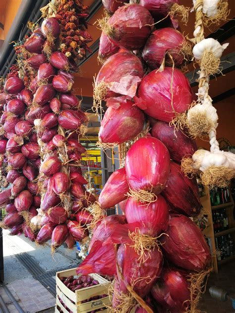 Tropea Red Onions