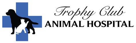 Trophy Club Animal Hospital: Expert Care for Your Beloved Pets