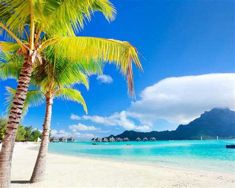 Tropical Getaway