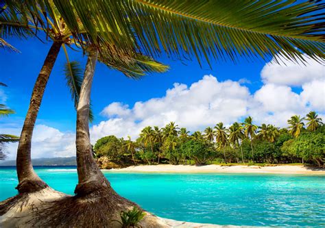 Tropical Island Beach