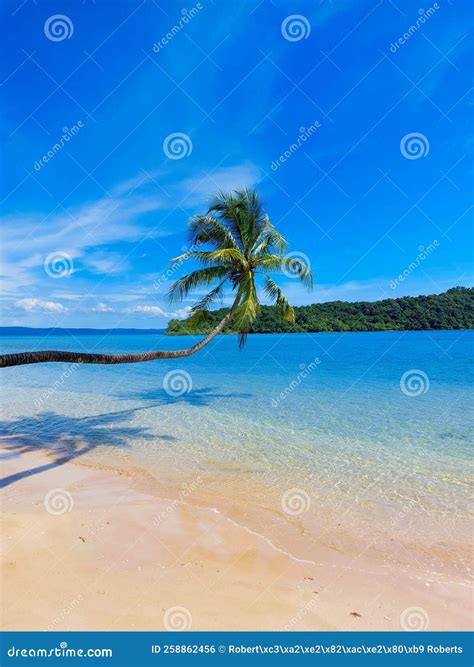 Tropical Island Vibes