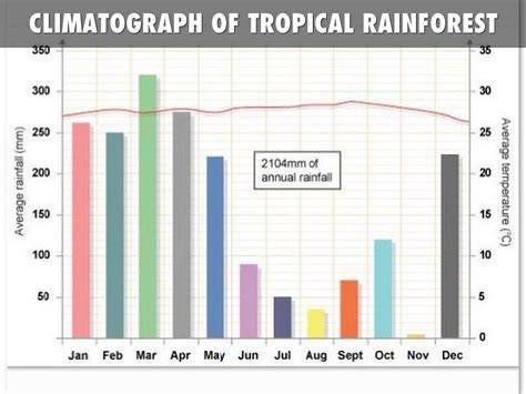 Tropical Rainforest Weather Chart