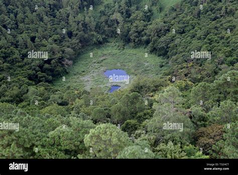 Trou aux Cerfs Volcano