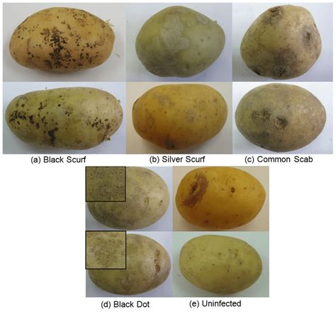 Troubleshooting Common Baked Potato Issues